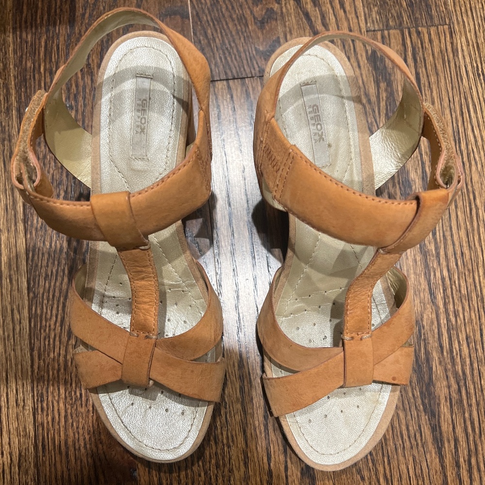 Geox shoes